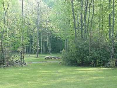 Willville Campground Pictures